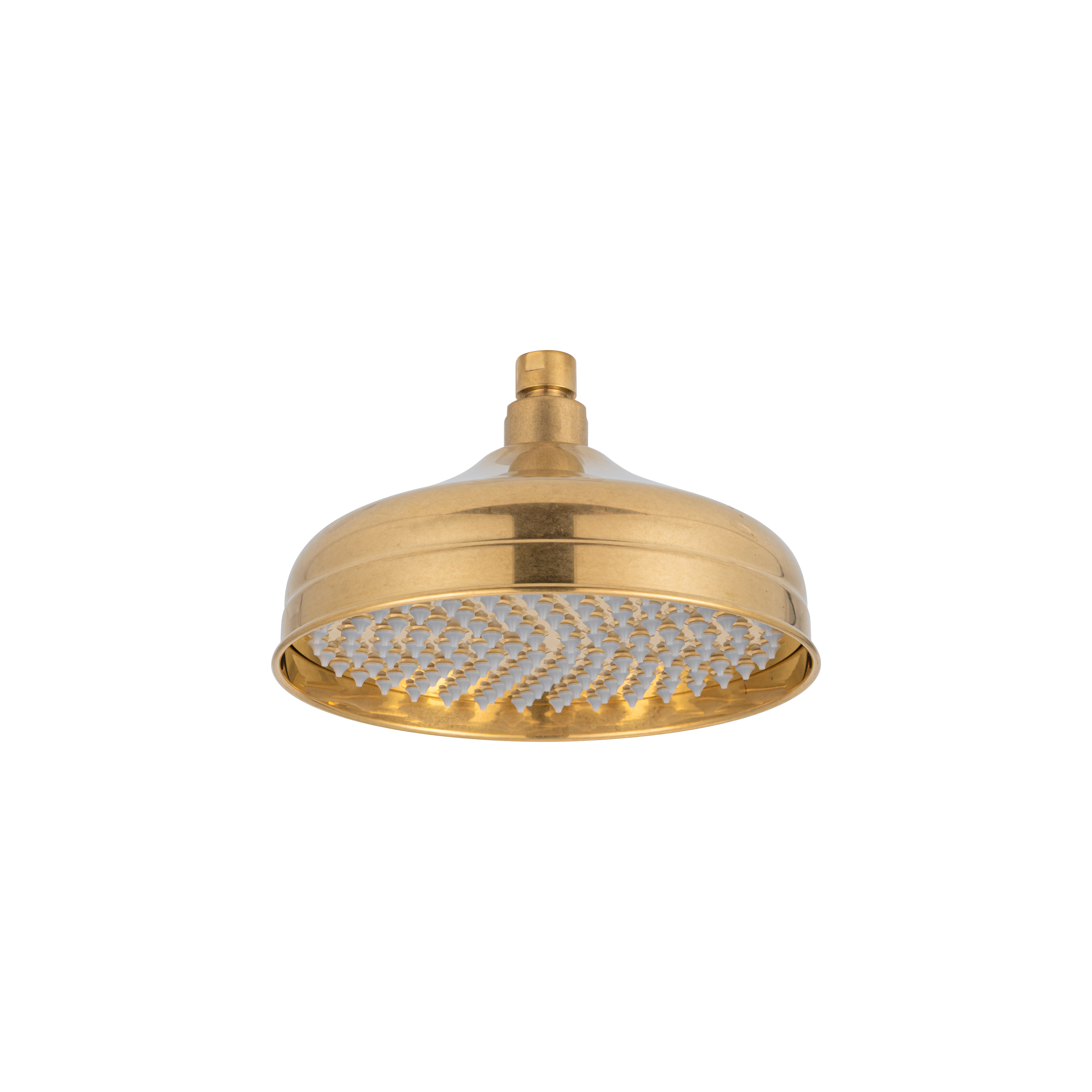 20236 Kingsley Shower Head Round TAB