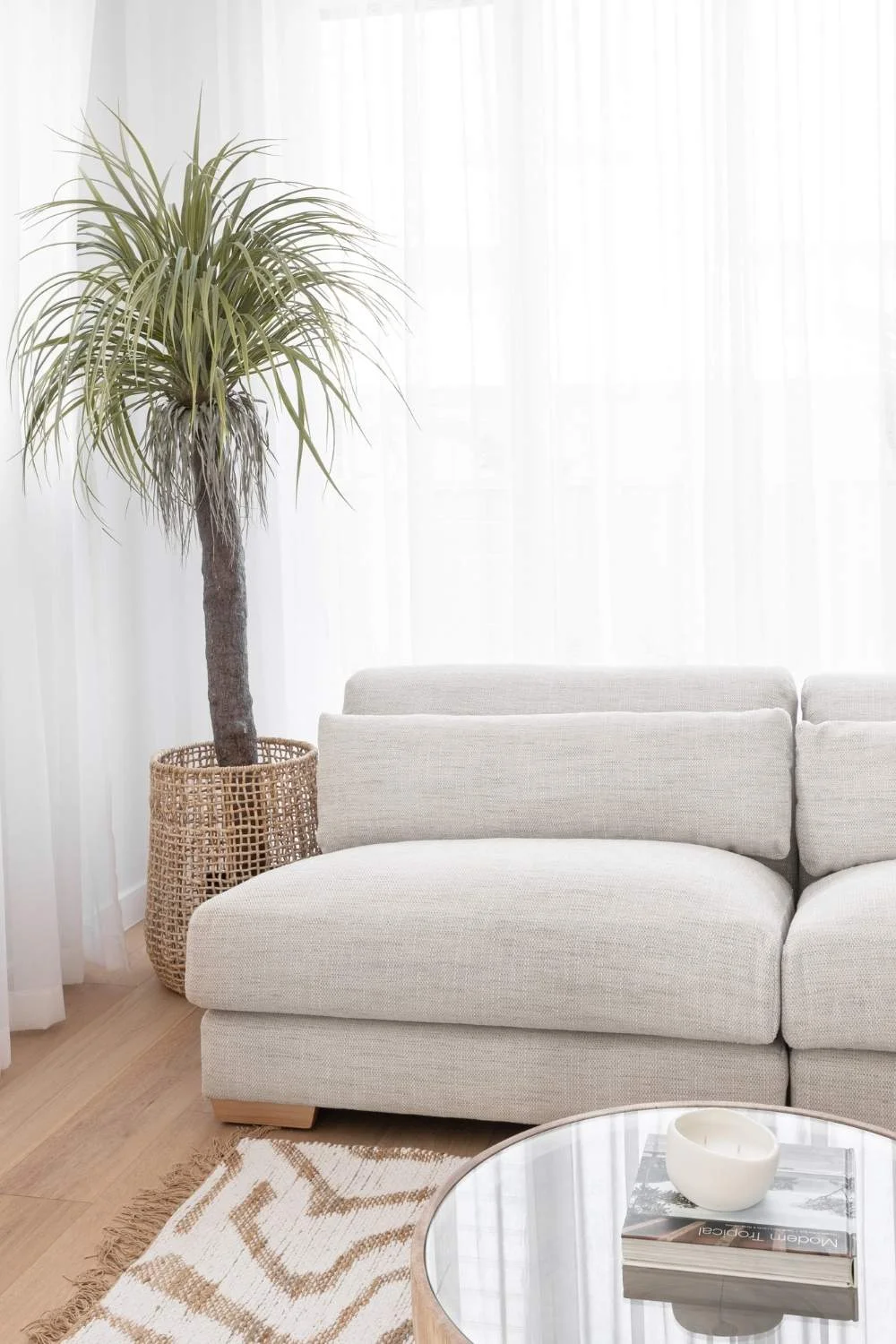 Luxury Home Decor Biphilia Plants Indoor