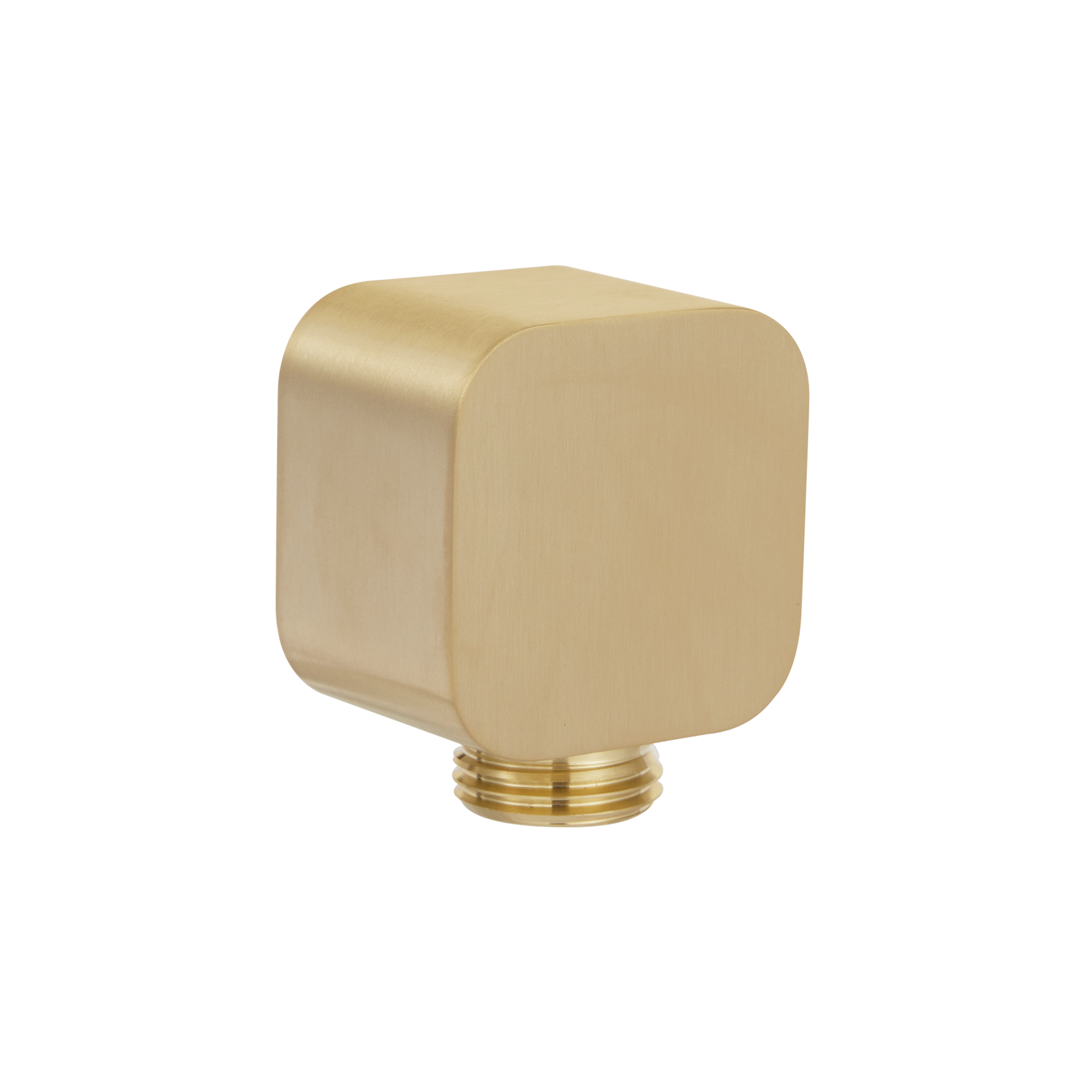 Nesso Shower BP Brushed Brass