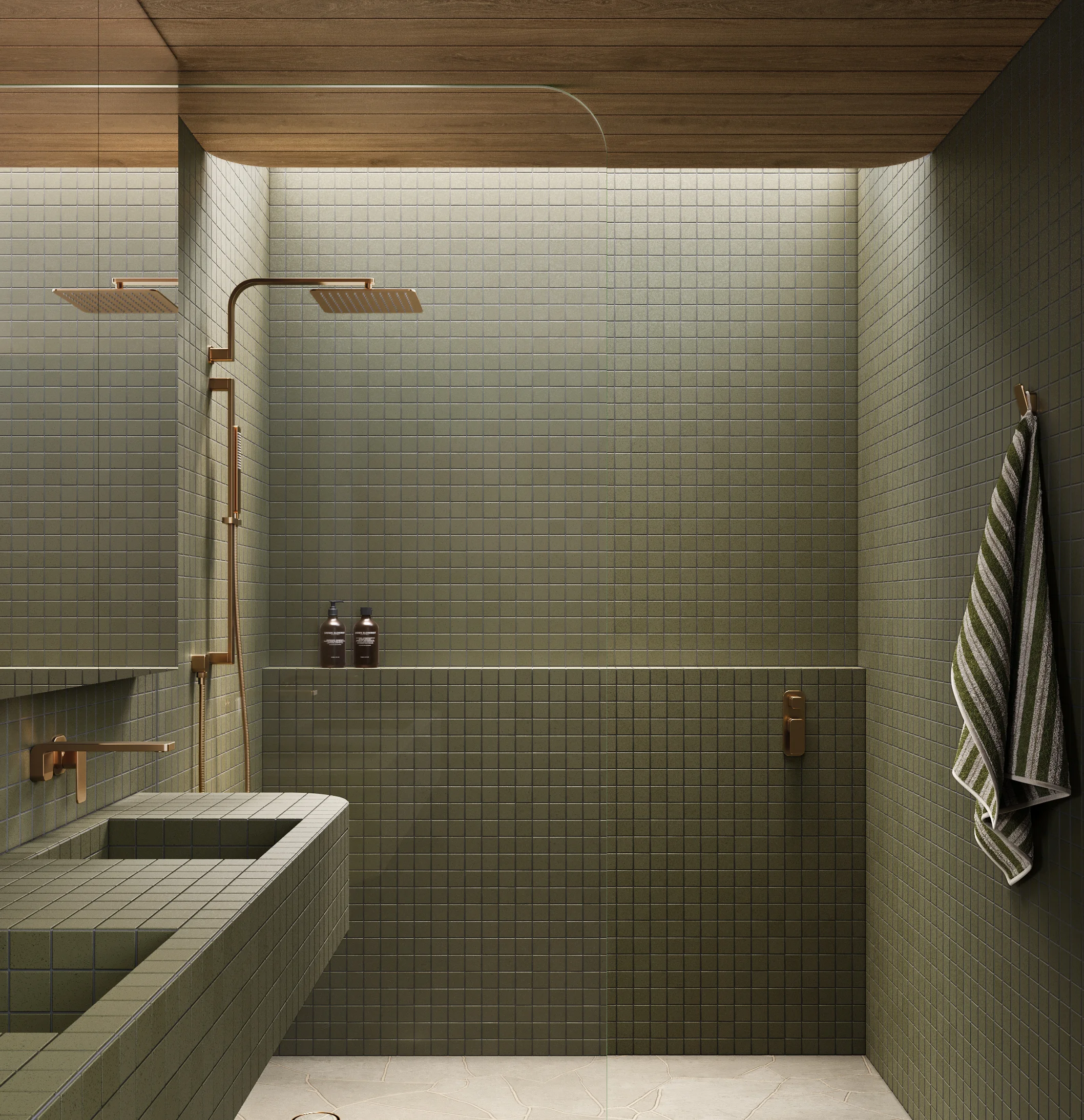 Shower Full%20Shot NESSO Shower%20Arm-Robe%20Hook BC with%20towel