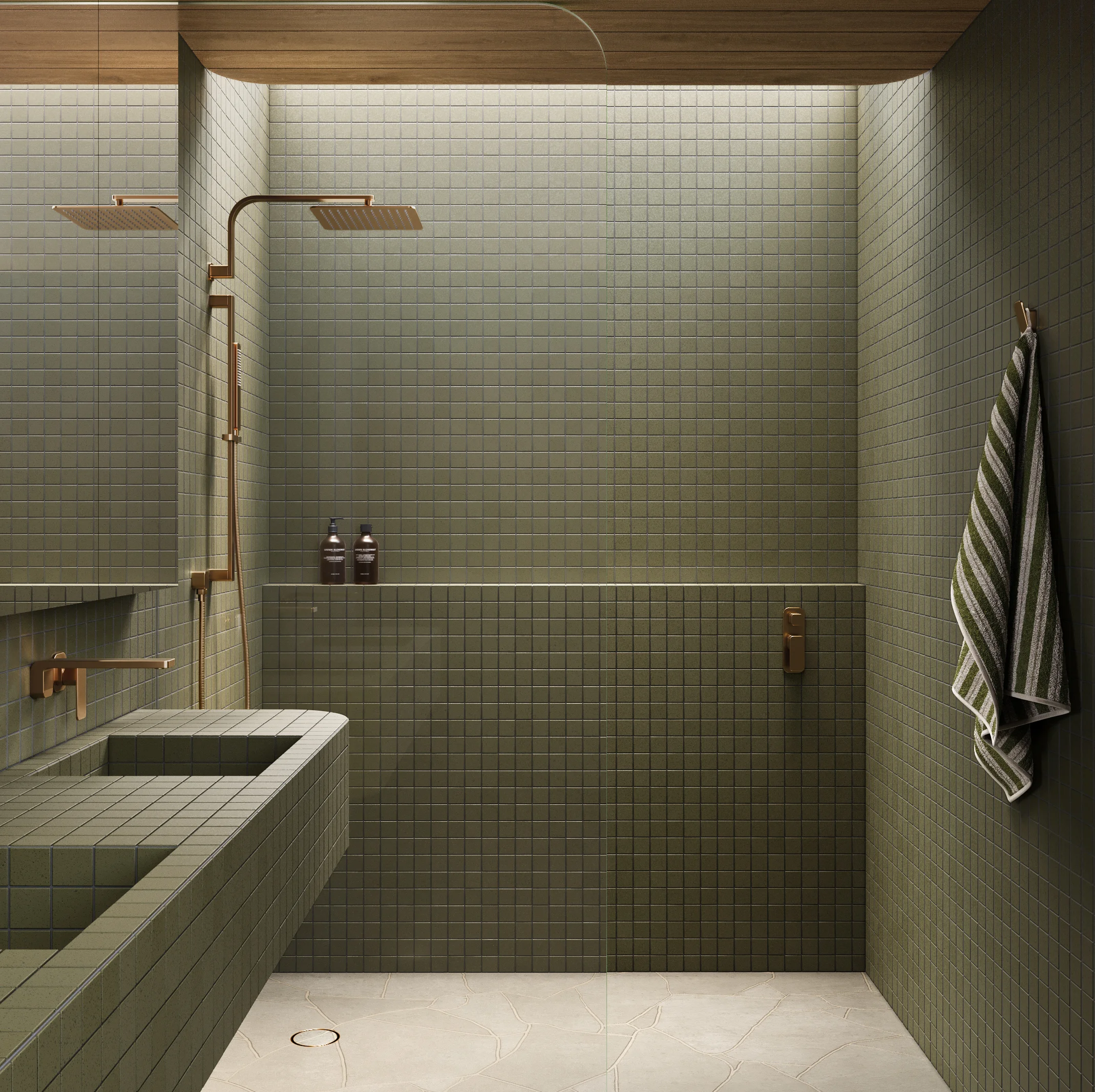 Shower Full%20Shot NESSO Shower%20Arm-Robe%20Hook BC with%20towel