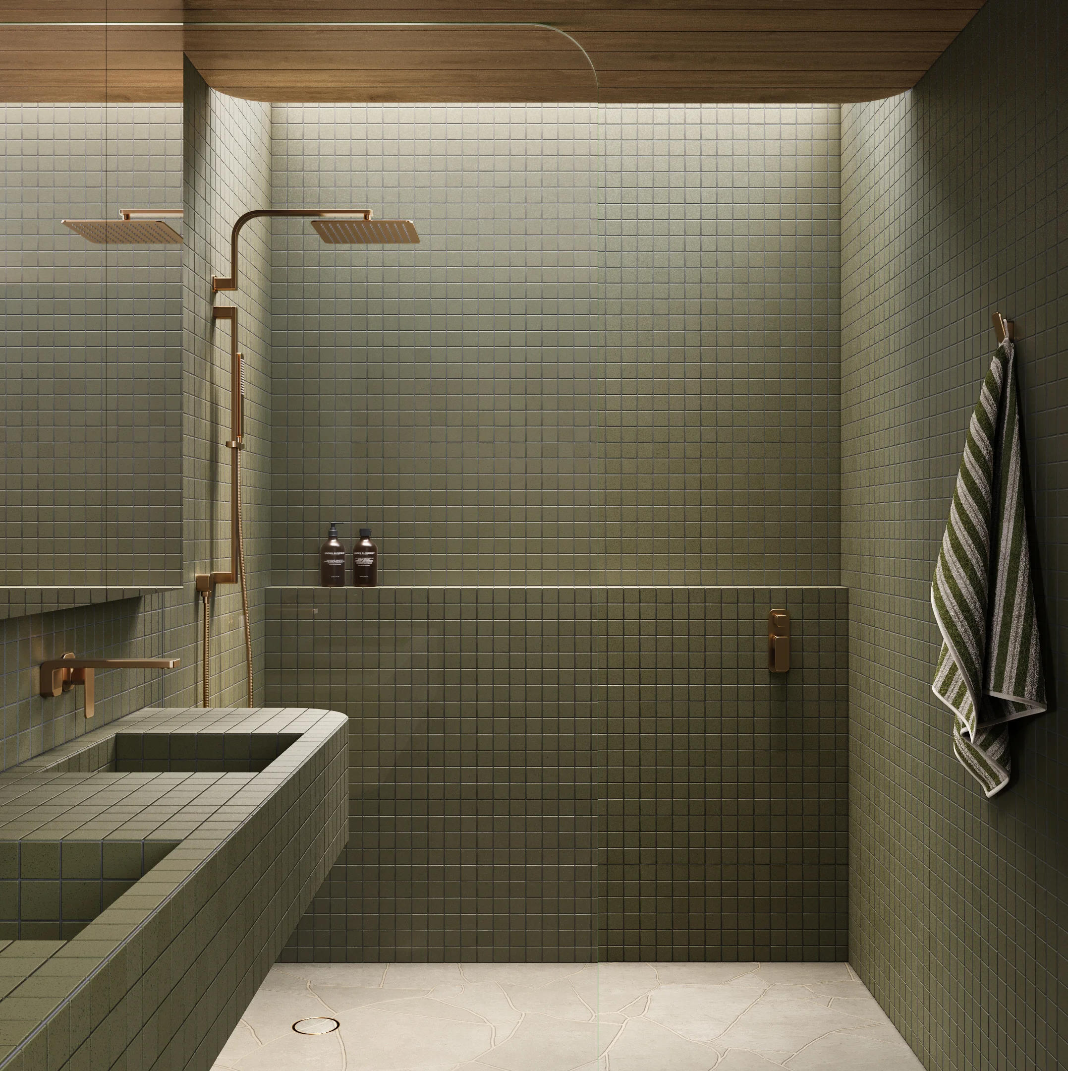 Shower Full Shot NESSO Shower Arm-Robe Hook BC with towel