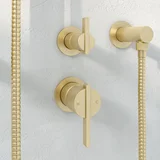 Aliro%20Accesible Top%20Shower%20Diverter Insetting CloseUP BB