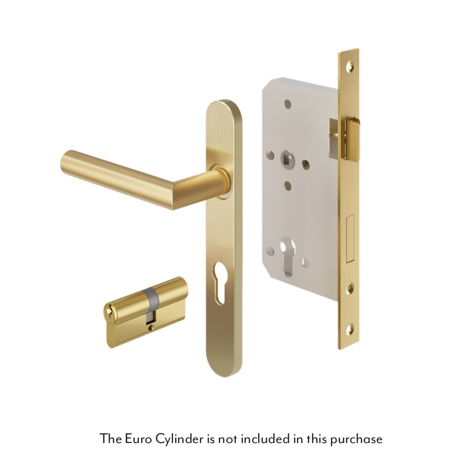 Davis Entry Door Handle   Lock Sets Stock Images Disclaimer Key to Key BB