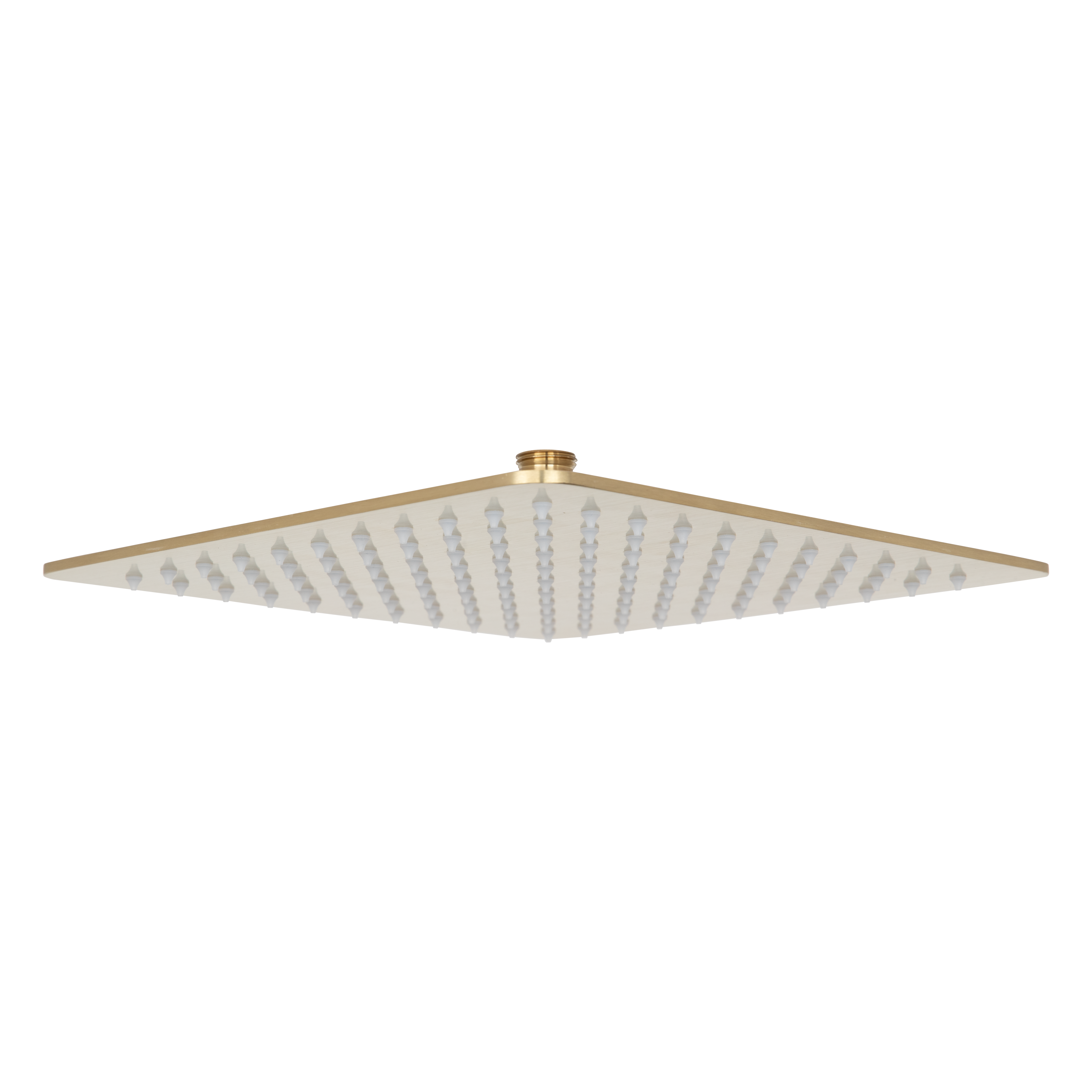 Nesso Shower Head 250mm - Brushed Brass