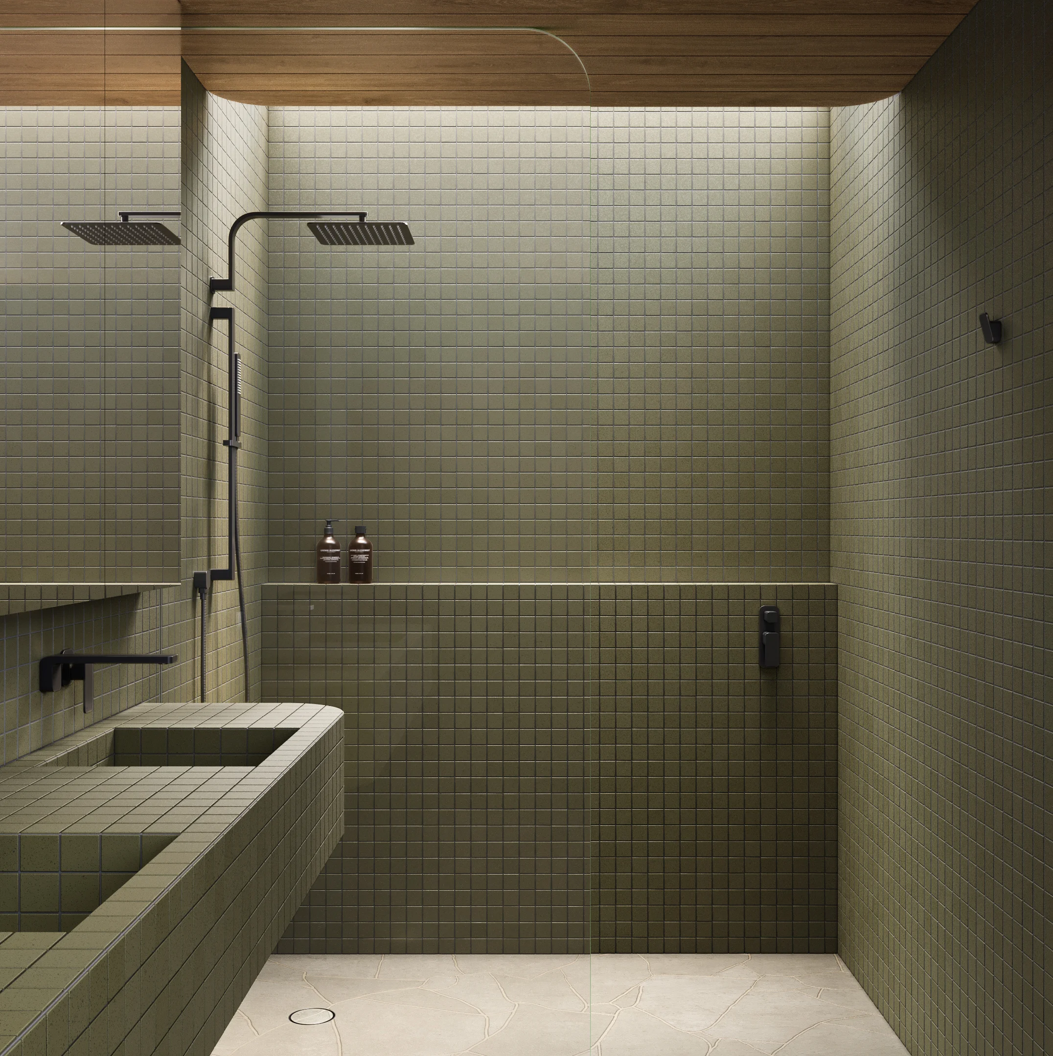 Shower Full Shot NESSO Shower Arm-Robe Hook MB