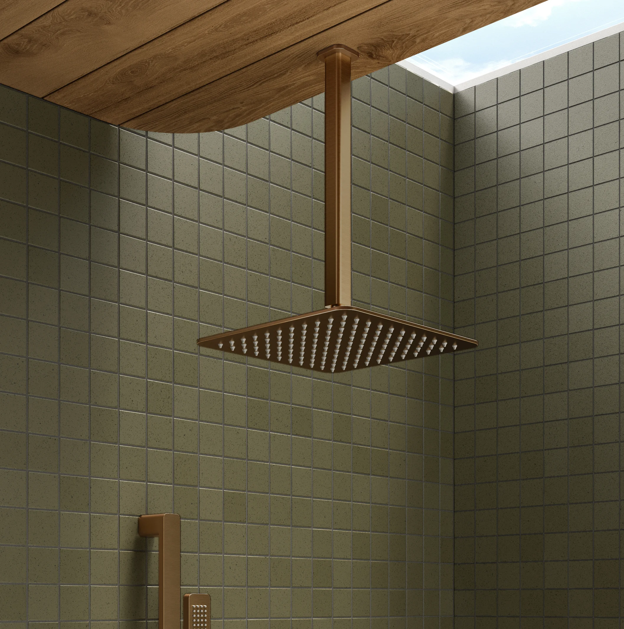 Shower Close%20Up NESSO Shower%20Dropper BC