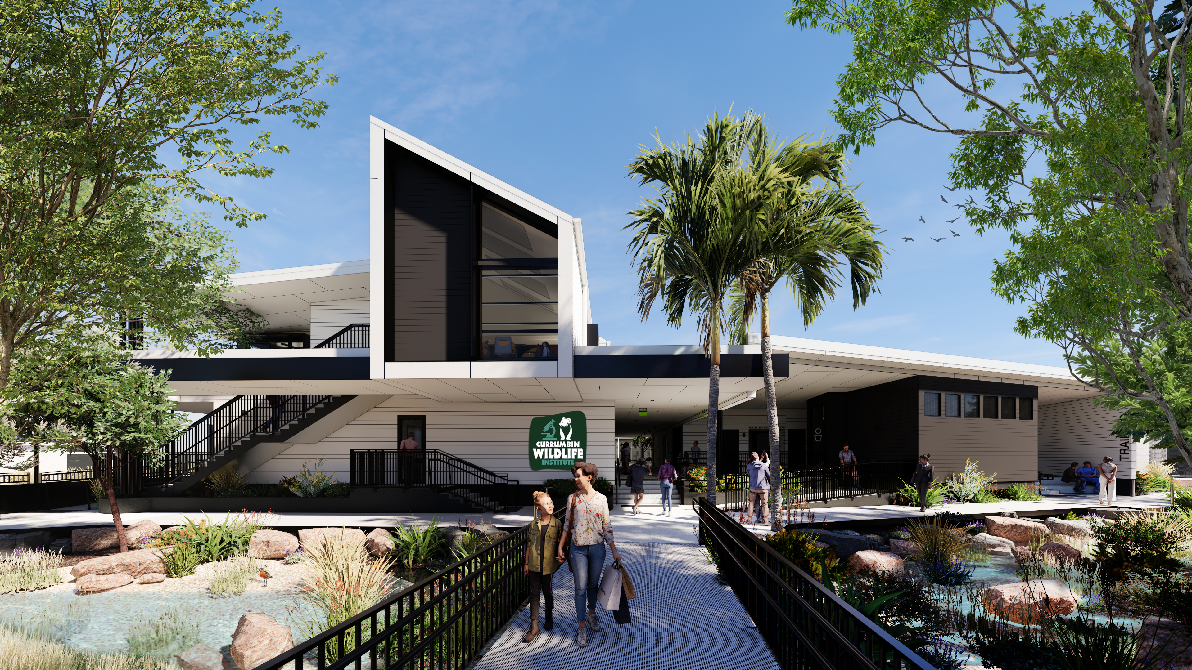 CWS 01 Render 2