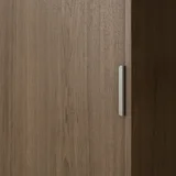 Cabinetry%20Pulls V3 Rappana%20Pull%20Extended%20100mm BN