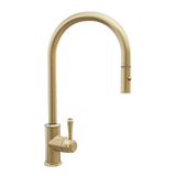 Kingsley Commercial Pull-Out Spray Attachment StockRender BB