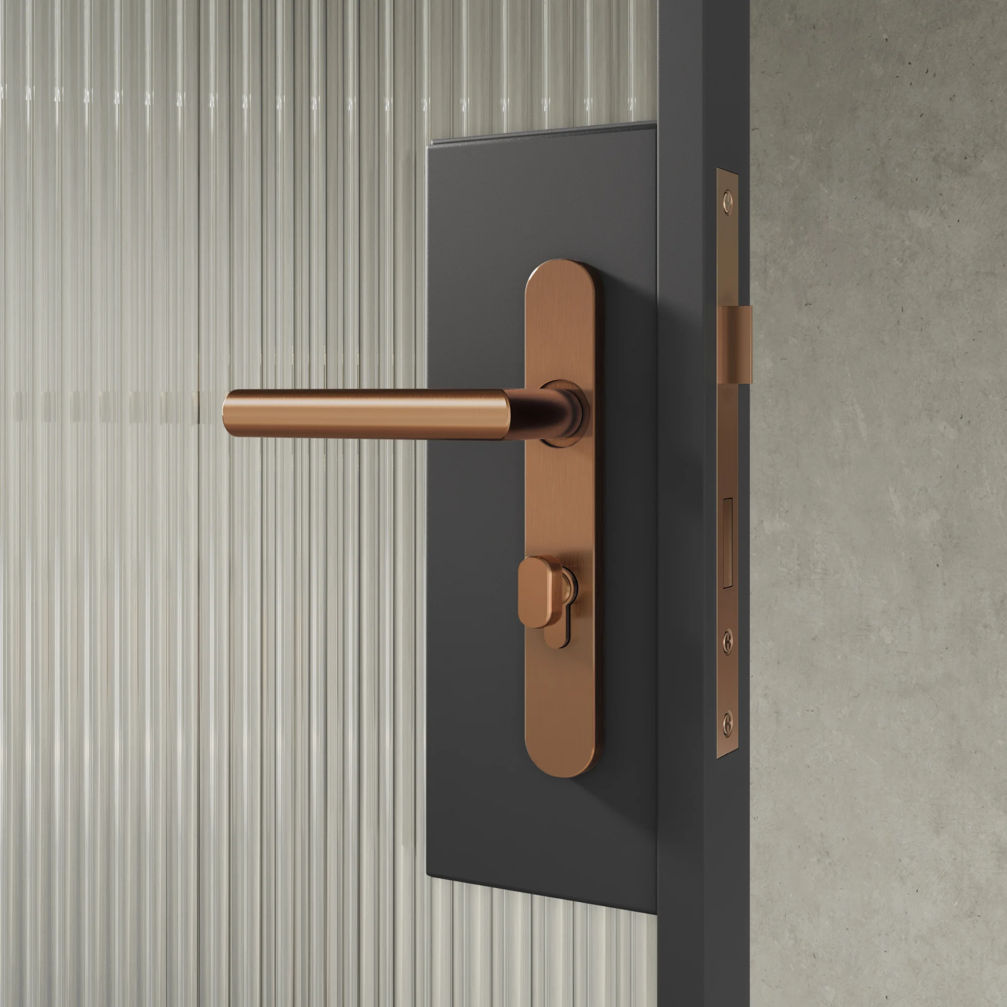 Entry Pulls Davis Entry Door Handle CLOSE UP Looking OUT BC Key-Lock