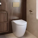Emperador Stone View03 Toilet Aurum