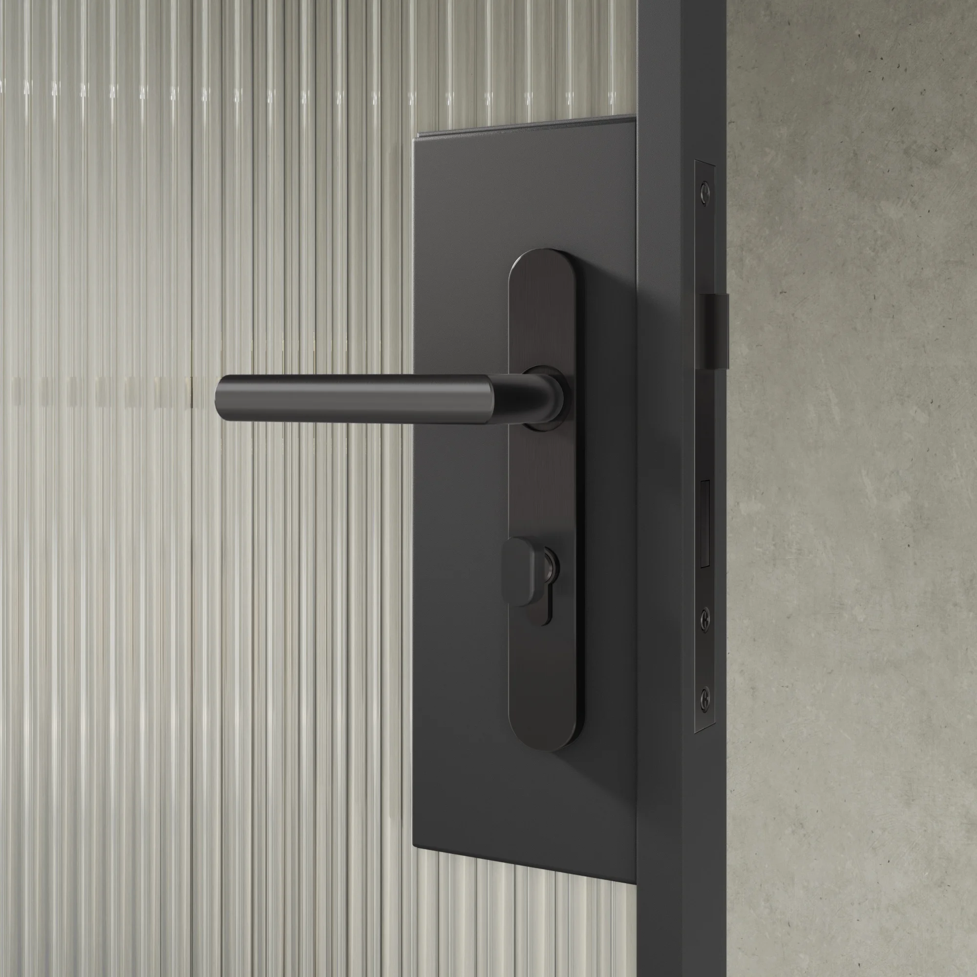Entry Pulls Davis Entry Door Handle CLOSE UP Looking OUT BG Key-Lock