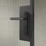 Entry Pulls Davis Entry Door Handle CLOSE UP Looking OUT BG Key-Lock