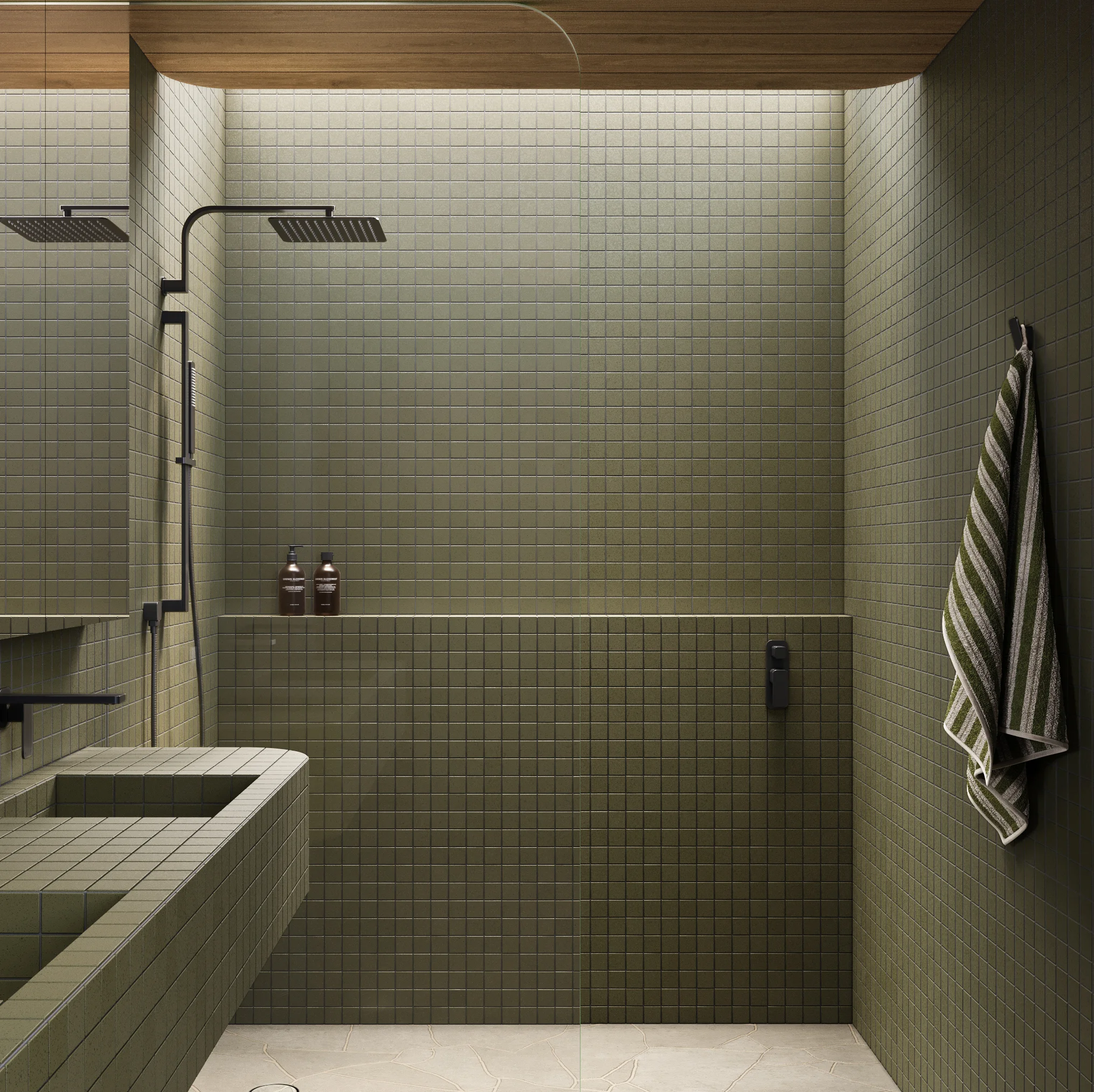 Shower Full%20Shot NESSO Shower%20Arm-Robe%20Hook MB with%20towel