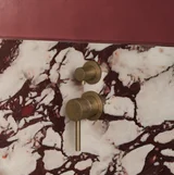 AntiqueBathroom ShowerScene Var02 Angle04 Aurum