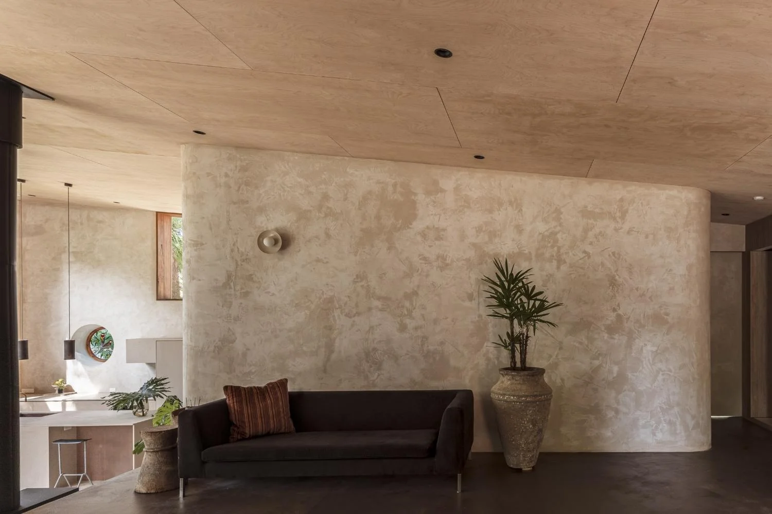 Luxury Home Decor Plants Indoor Texture