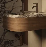 Antique Powder%20Room Vanity-Elysian%20Basin%20Mixer Bronze
