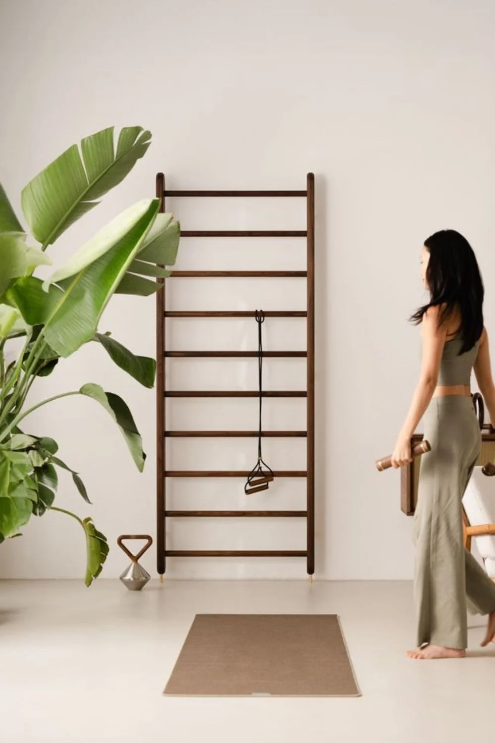 Home Gym Yoga Studio Space Indoor Plant