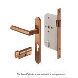 Davis Entry Door Handle   Lock Sets Stock Images Disclaimer Lock to Key BC