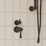 Kingsley thermostatic diverter 2-3 way insetting CloseUp MB