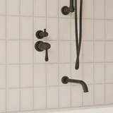 Kingsley thermostatic diverter 2-3 way insetting CloseUp MB