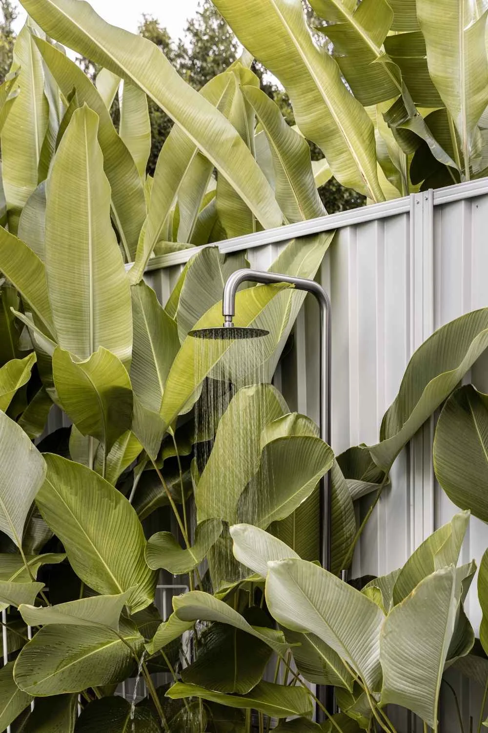 Outdoor Shower Holiday Season Plants