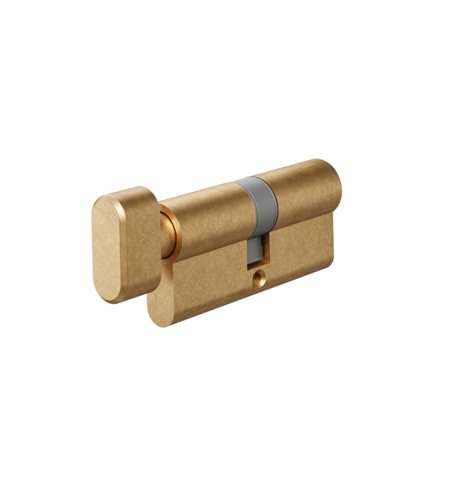 Eurocylinder K2T View01 Aurum