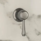 Kingsley Thermostatic Shower Mixer -In Setting Closeup SS