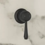 Kingsley Thermostatic Shower Mixer -In Setting Closeup MB