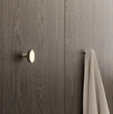 Japandi Horizontal mounting Brass
