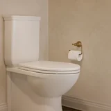 Kingsley TAB Powder Room Toilet Scene