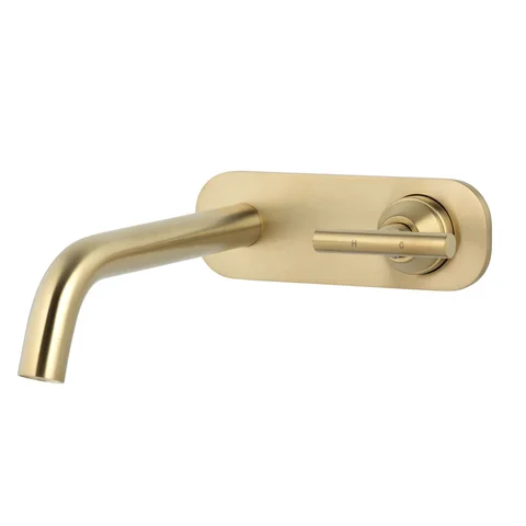 Barre Progressive Wall Mounted Set - Brushed Brass