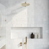 Elysian%20Shower%20Top%20Diverter%20%20%20Bottom%20Diverter V1 BB