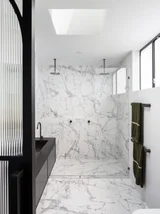 Swan-St-20