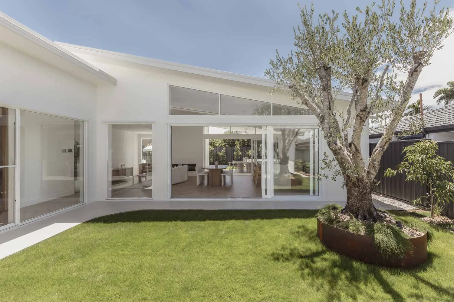 Indoor-Outdoor-Living-Courtyard-with-large-olive-tree