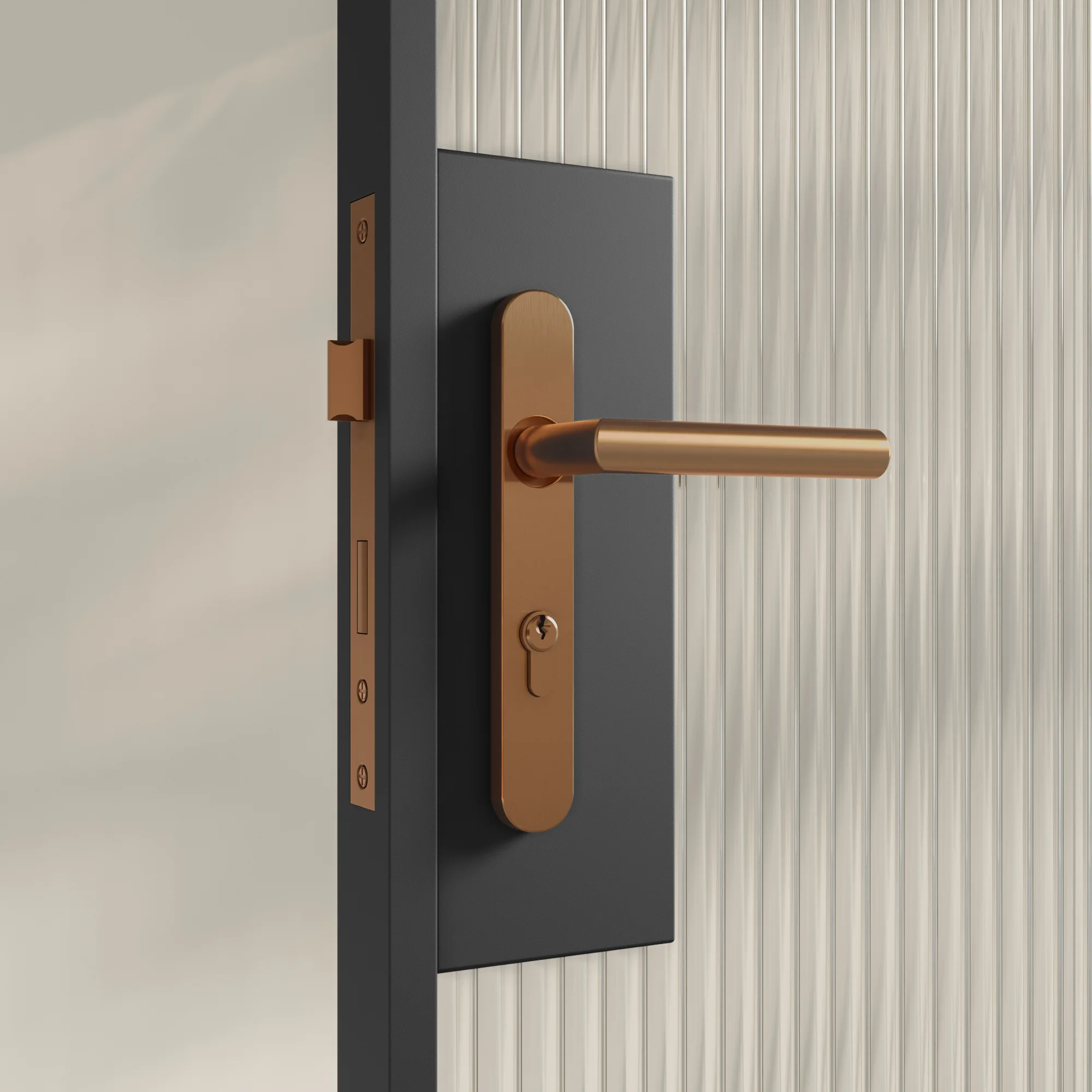 Entry Pulls Davis Entry Door Handle CLOSE UP Looking IN BC