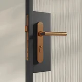 Entry Pulls Davis Entry Door Handle CLOSE UP Looking IN BC