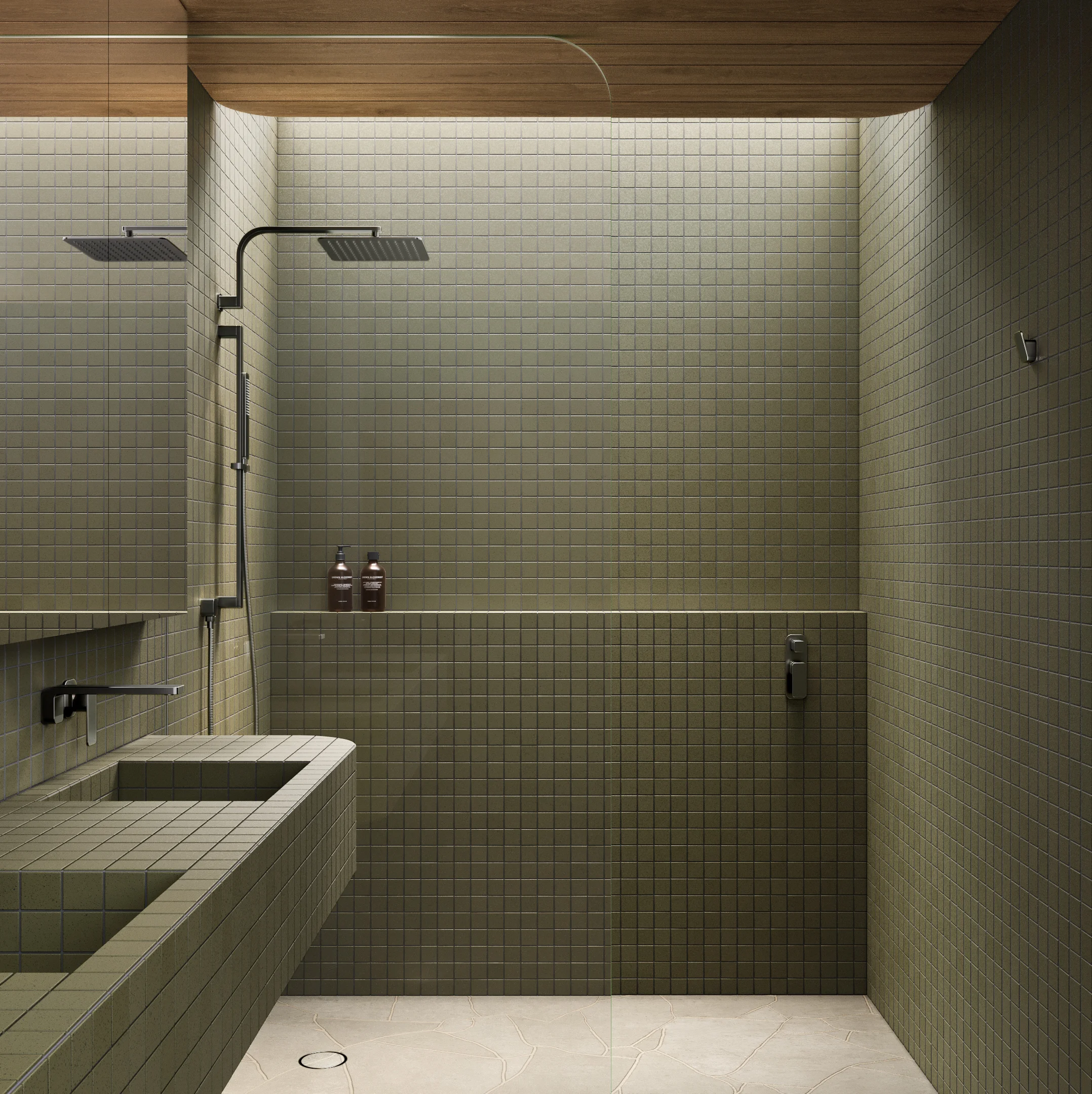 Shower Full Shot NESSO Shower Arm-Robe Hook BG