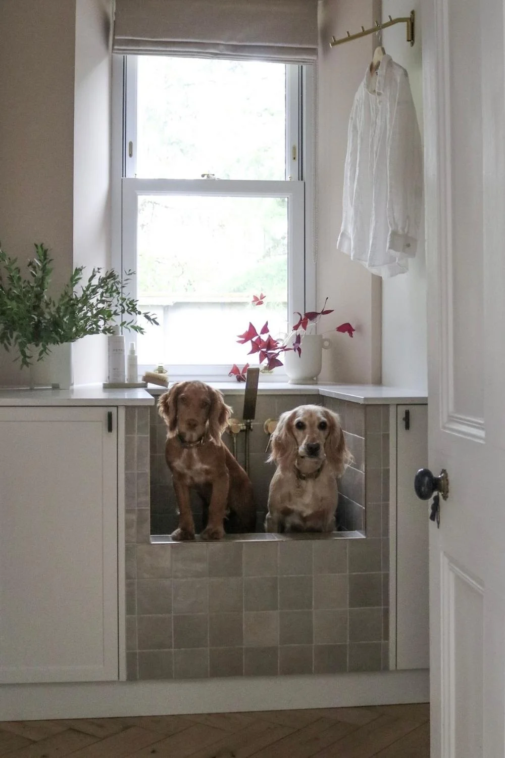 Modern vs Traditional Architecture Utility Room jpg